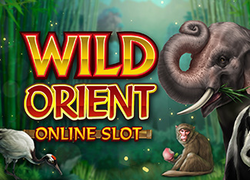 Wild Orient